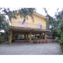 Villa indipendente ampio giardino