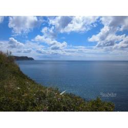 Isola d'Elba: vacanze sulla Costa del Sole