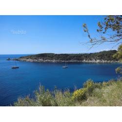 Isola d'Elba: vacanze sulla Costa del Sole