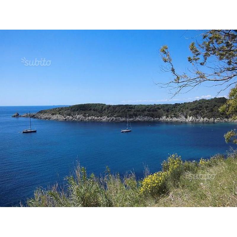 Isola d'Elba: vacanze sulla Costa del Sole