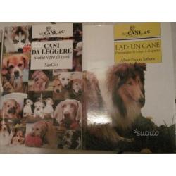 Boxer Collie Cani da leggere storie vere di cani