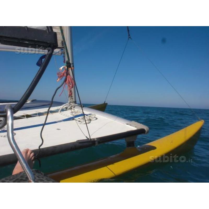 Hobie cat 14