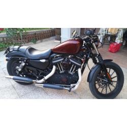 Harley Davidson 883 iron