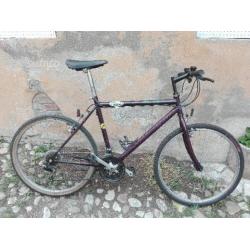 Bici mtb