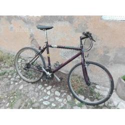 Bici mtb