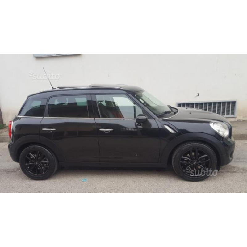 Mini countryman