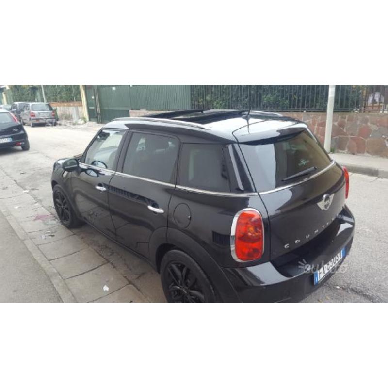 Mini countryman