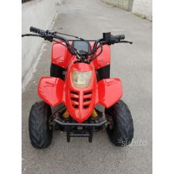 Quad Quod 110cc SemiNuovo