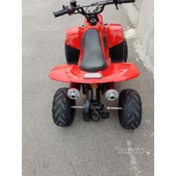 Quad Quod 110cc SemiNuovo